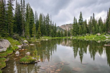 Ormanlı dağ gölü ve bulutlu gökyüzünün altında yansımalar