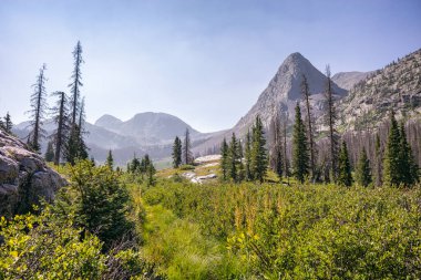 Weminuche Wilderness, Colorado 'da Bufalo Tepesi