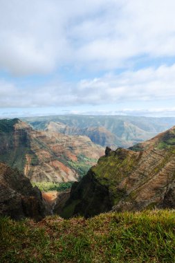 Hawaii 'de yeşil bir kanyona bakan dikey görüntü.