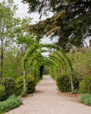 Gravel walking path and green floral park archway and clipart