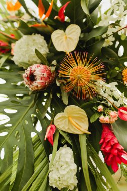 Proteinler ve orkidelerle tropik Hawaii çiçek aranjmanı