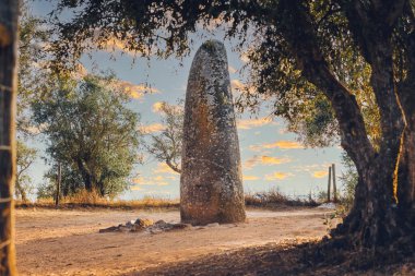Evora, Portekiz. 30 Ağustos 2015. Menhir dos Almendres
