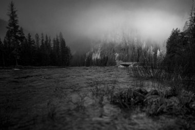 Lochsa Nehri bir karayolu köprüsünden geçer.