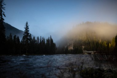 Lochsa Nehri 'nin üzerinde sabah ışığı