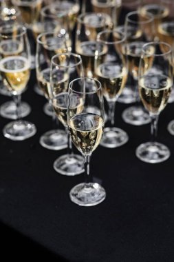 Şampanyalı Flüt Şenliği 'nin Yakın Çekimi