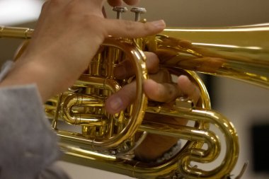 Close-up of hands playing a shiny brass mellophone. clipart