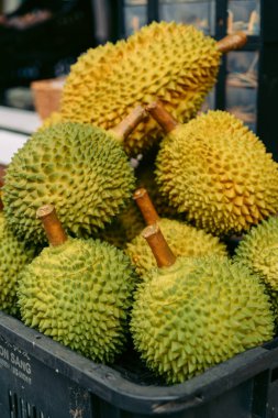Durian mağazası, Kuala Lumpur, Çin Mahallesi.