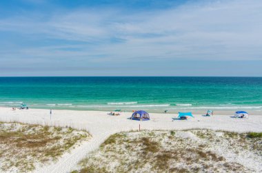 Pensacola Florida 'daki Köpek Plajı