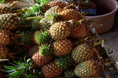 Markette satılık taze ananas