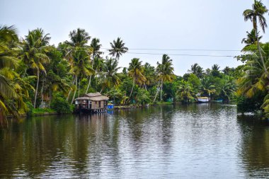 Kerala (Hindistan) Alappuzha Tekne Evi