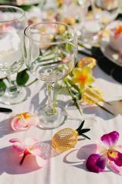 Ananas ve cam kabuklu tropik cam eşyalar.