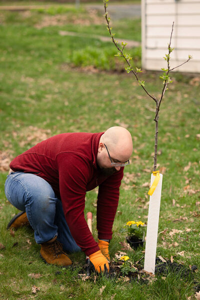 Man planting flowers around a tree in a garden