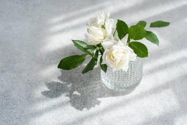 Beyaz gül çiçeklerine yaklaş