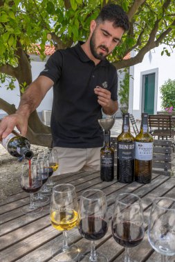Portekiz 'in Douro Vadisi' nde şarap tatma