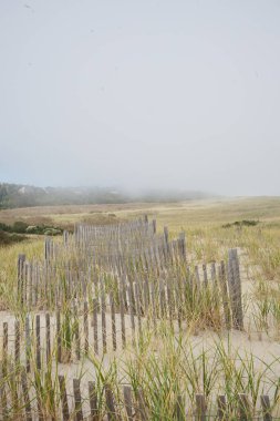 Cape Cod 'daki Nauset Sahili' nde sisli kumullarda ahşap çit.