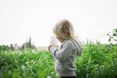 Gri kapüşonlu çocuk açık havada uzun yeşil bitkileri keşfediyor.