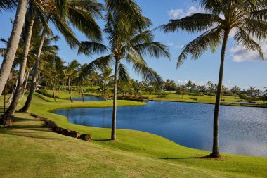 Hawaii 'deki Kauai Resort' ta golf sahası