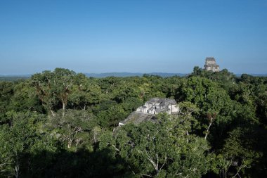 Güneş doğarken Guatemala 'daki Tikal harabelerine bak