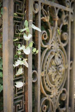 Kusel Kalesi 'nin Tarihi Surları boyunca geziniyorum.