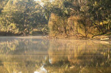 Sabah sisli nehirde yansımalar