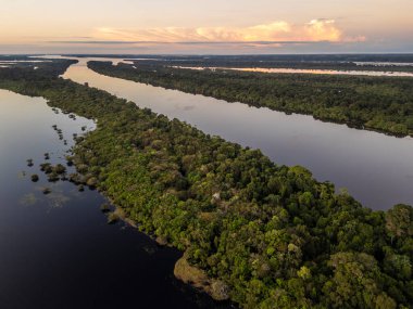 Zenci Nehri 'ndeki Amazon yeşil adalarına güzel bir hava manzarası