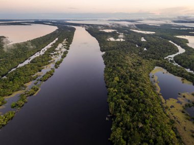 Zenci Nehri 'ndeki Amazon yeşil adalarına güzel bir hava manzarası