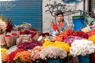 indigenous woman selling flowers in la paz bolivia clipart