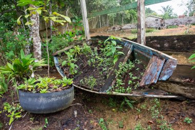 Geleneksel nehir kıyısında tıbbi bitkileri olan kırsal bir çiftlik.