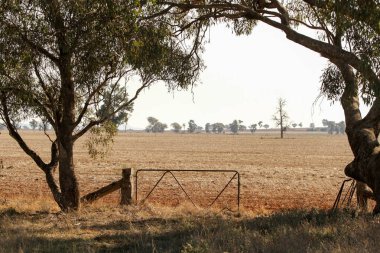 Metal kapılı çiftlik arazisi manzarası