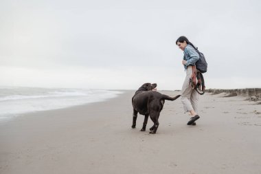 Bir sonbahar günü sahilde yaşlı bir Labrador köpeğini gezdiren bir kadın.