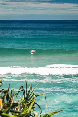 Burleigh Heads, Gold Coast 'ta turkuaz dalgalarla kürek çeken sörfçü.