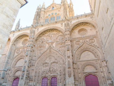 Ayrıntılı oymalarla Salamanca Katedrali 'nin ön cephesi