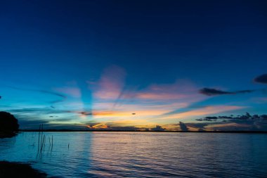 Amazon nehri manzarası