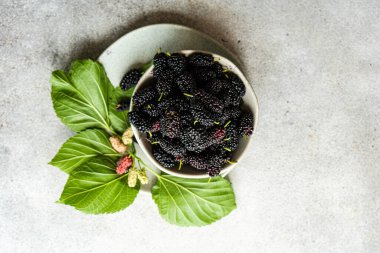 Kâsede taze organik dut var.