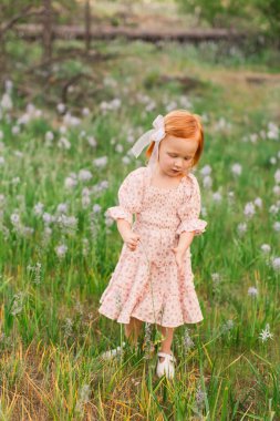 Çiçek tarlasında kızıl saçlı küçük kız