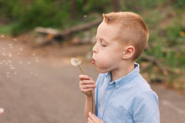Mavili çocuk bir karahindiba üflerken dilek tutuyor.