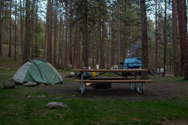 stock image Campground with tent, picnic table, and parked vehicle surrounde