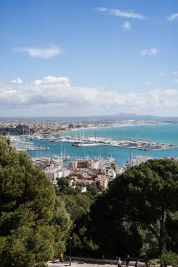 Liman ve Şehir Manzarası Palma De Malllorca, İspanya