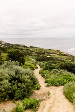 Sisli bir günde San Diego 'da Günbatımı Uçurumları