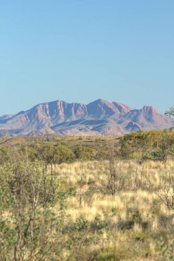 Batı Macdonnell Sıradağlarının Portre Manzarası, Tjoritja Ulusal Parkı