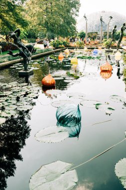 Missouri Botanik 'te Yüzen Renkli Chihuly Camları