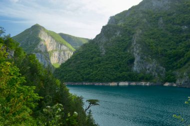 Yeşil Kayalık Dağların Ortası