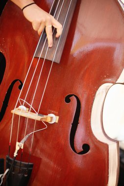 Düğünde Standup Bass çalınacak