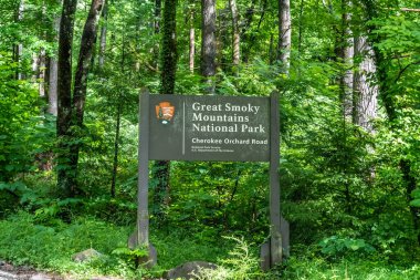 Tennessee 'deki Great Smokey Dağı' na giden bir giriş yolu.