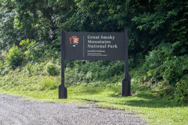 Tennessee 'deki Great Smokey Dağı' na giden bir giriş yolu.