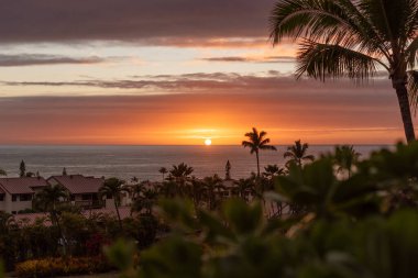 Pasifik Okyanusu üzerinde palmiye ağaçları manzaralı Hawaii günbatımı.
