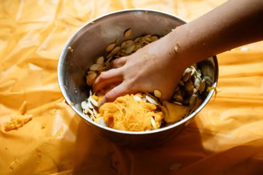 Hand in bowl of pumpkin pulp and seeds after carving clipart