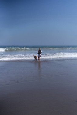 Golden retriever köpeğiyle sahilde yürüyen bir kadın..
