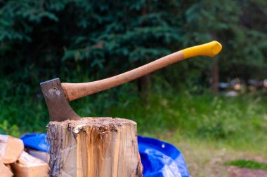 Ormandaki Ağaç Damlasına Gömülü Balta