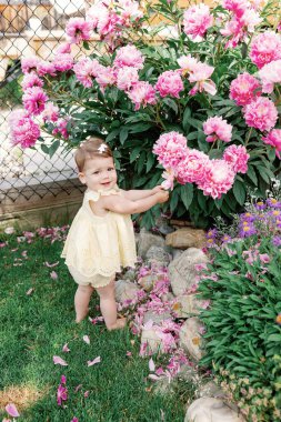Bahçede pembe şakayıklarla oynayan, elbise giymiş gülümseyen bir çocuk.